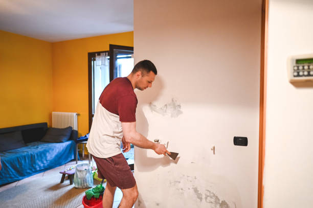 Best Industrial Mold Remediation in Sayville, NY